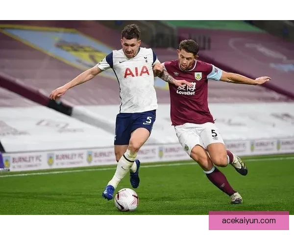 霍伊别尔本赛季在热刺表现稳健，中场作用持续提升